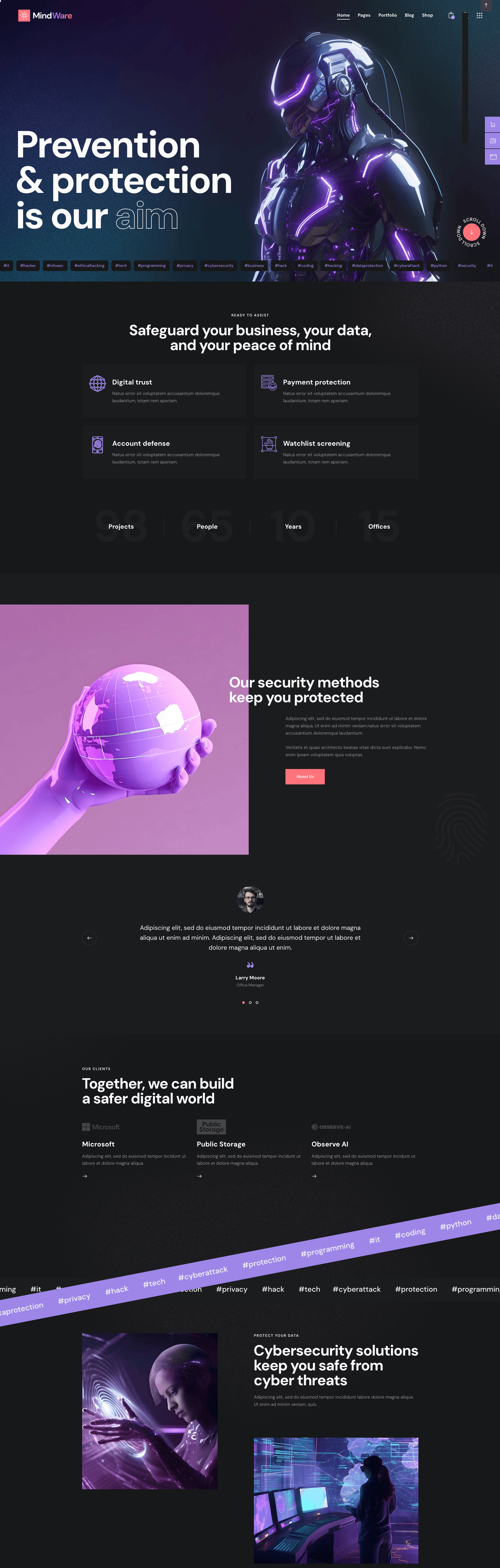 CyberView
